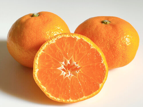 【温州みかん】柑橘の産地、生口島が生んだ完熟早生みかん
